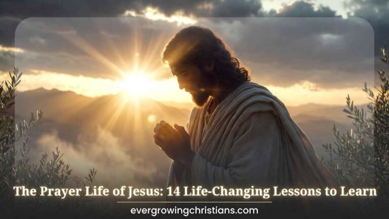 The Prayer life of Jesus: 14 Life-changing Lessons to Learn The Prayer life of Jesus: 14 Life-changing Lessons to Learn