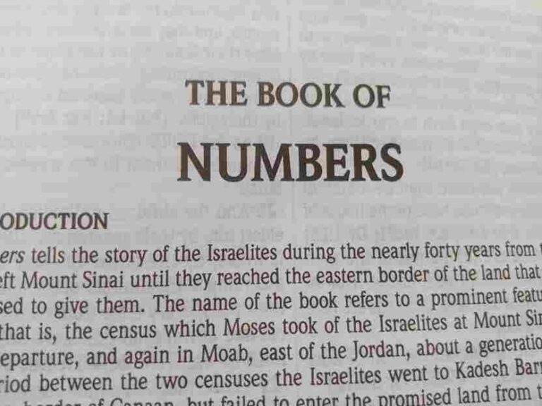 The book of Numbers Summary by chapter