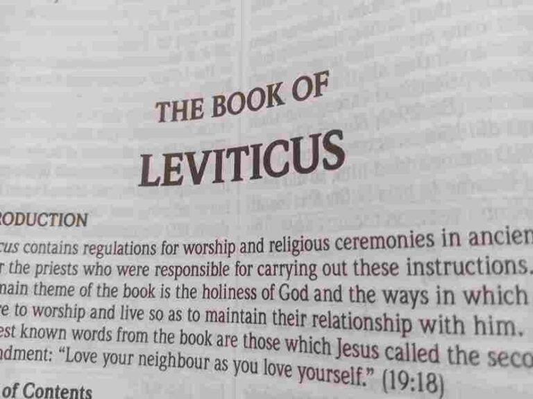 The Book of Leviticus Summary by Chapter