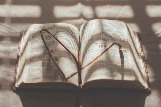 The Book of Job Summary by Chapter (1-42): Concise and Comprehensive The book of Job summary by chapter