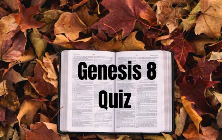 Genesis 8 quiz