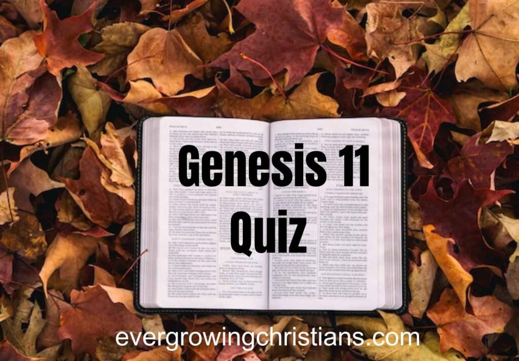 Genesis 11 Quiz