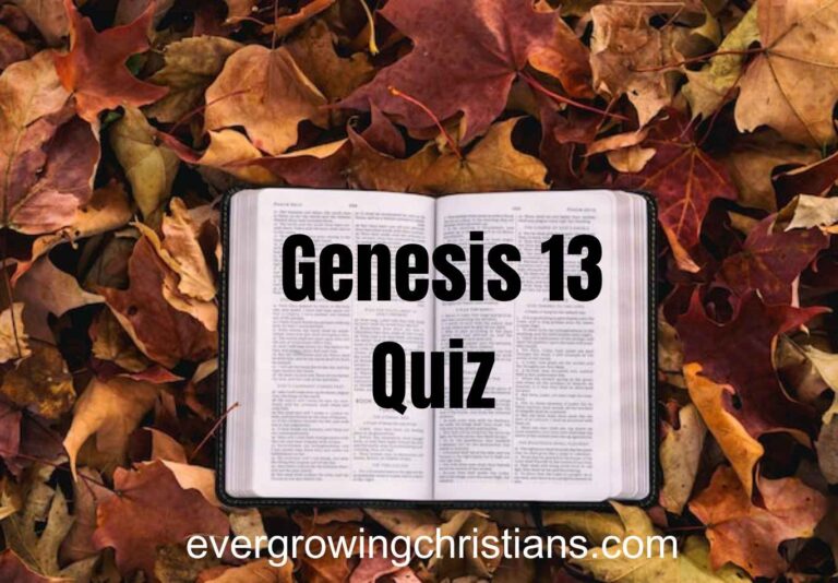 Genesis 13 Quiz
