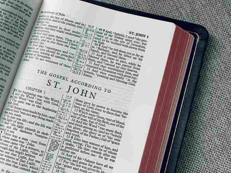 The Book of John Summary by Chapter (1-21): Very Concise and Comprehensive The Book of John Summary by Chapter 1-21