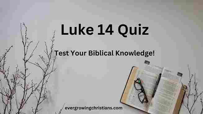 Luke 14 Quiz