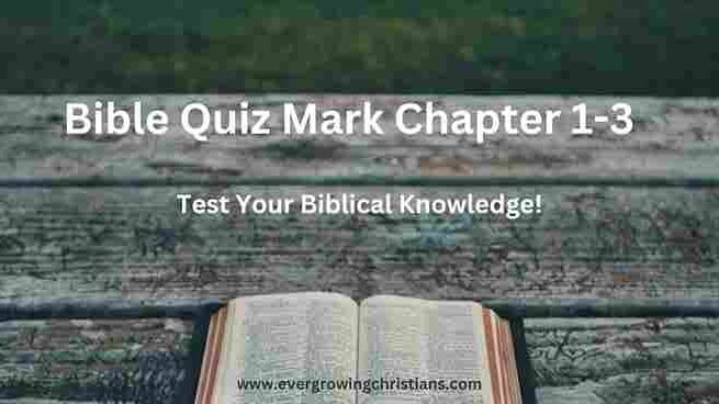 bible quiz mark chapter 1-3