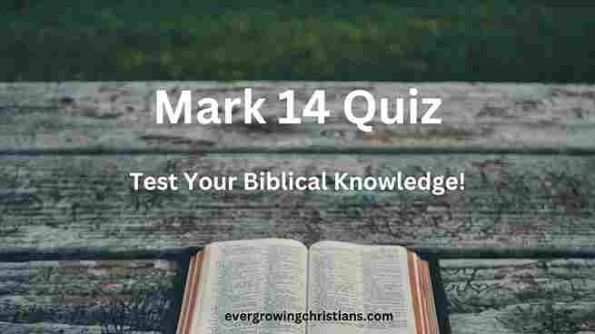 Comprehensive Mark 14 Quiz with Answers: Test Your Knowledge! Mark 14 Quiz
