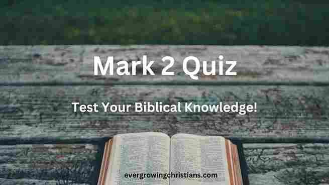 Mark 2 Quiz
