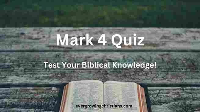 Mark 4 Quiz