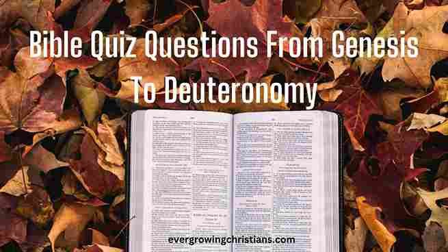 Questions From Genesis To Deuteronomy