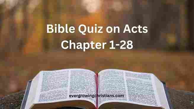Bible quiz on Acts chapter 1-28