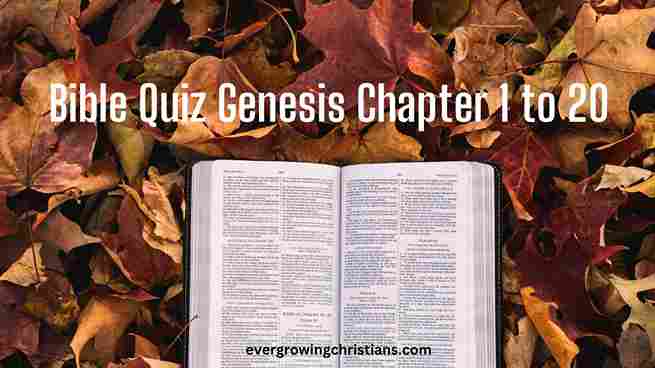 Bible Quiz Genesis Chapter 1 to 20