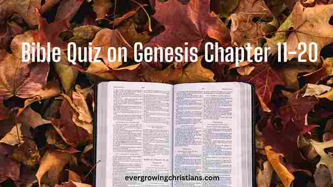 Bible Quiz on Genesis Chapter 11-20