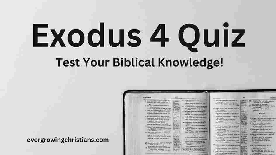 Comprehensive Exodus 4 Quiz with Answers: How Well Do You Know the Book of Exodus? Exodus 4 Quiz