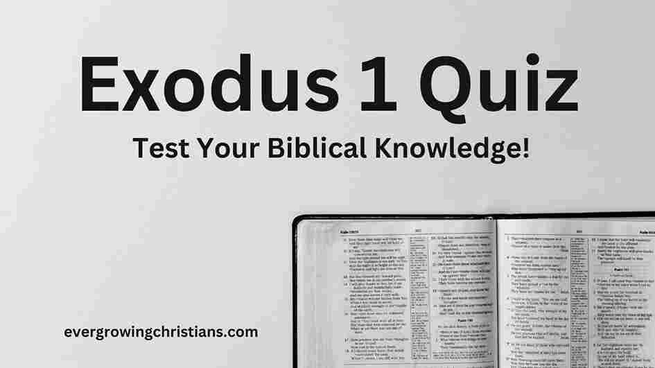 Exodus 1 Quiz