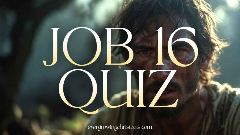 Job 16 Quiz