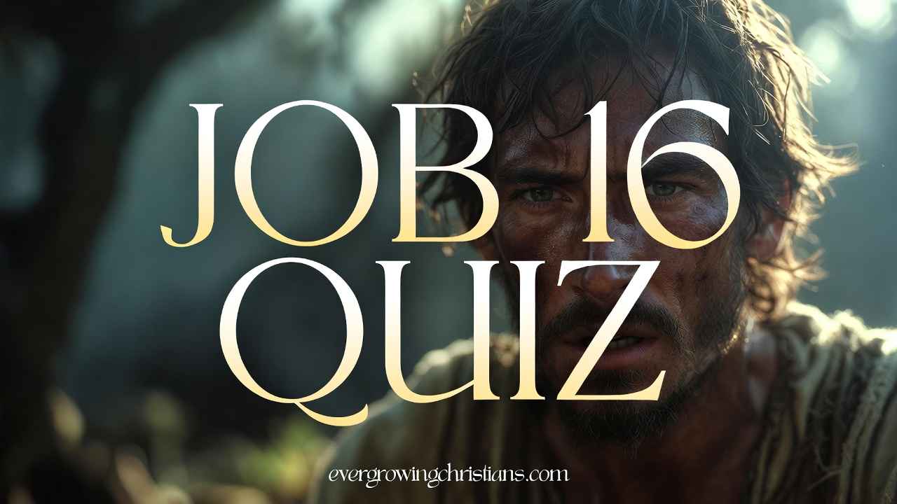 Job 16 Quiz